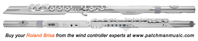 Roland Brisa AE-Brisa Aerophone Pro AE-Brisa Flute wind controller AE-30 AE30 AE-20 AE20 AE-20SC AE20-SC GO AE-05 AE05 AE-10G AE 10G AE10-G AE-10 AE10 gig rig Yamaha wx5 Akai EWI Patchman Music