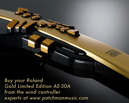 Roland Aerophone Pro AE-30 AE30 GO AE-05 AE05 AE-10G AE 10G AE10-G AE-10 Wind Controller AE10 gig rig wx5 EWI4000s WX5 EWI5000 Patchman Music